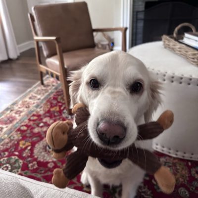 Watson