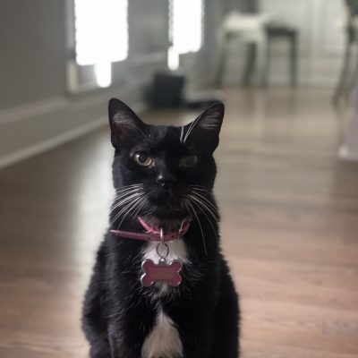 Marcel