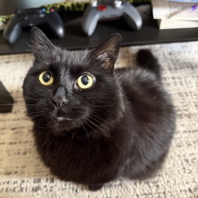 Nova